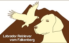Logo vom Falkenberg 