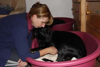 Elke und Blacky halten zusammen