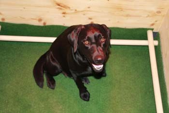 Blacky um 21:00 Uhr