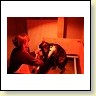 Blacky bekommt ihr erstes Baby