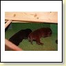 IMG_0655