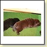 IMG_0657