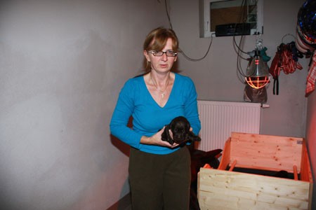 IMG_0802