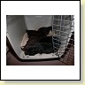 IMG_0743