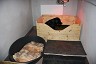 IMG_0901