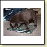 IMG_0749