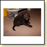 IMG_0752