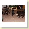 IMG_0784
