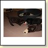 IMG_0799