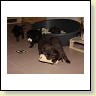 IMG_0807