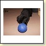 IMG_0811