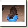 IMG_0818