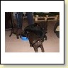 IMG_0819