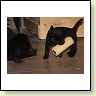 IMG_0847