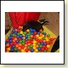 IMG_0856