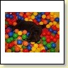 IMG_0860