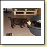 IMG_0883