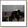 IMG_0893