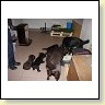 IMG_0904