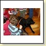 IMG_6882