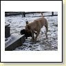 IMG_0956