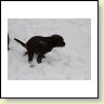 IMG_1285