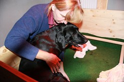 Elke und Blacky vom Falkenberg beim ERSTEN WURF