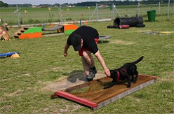 Blacky vom Falkenberg "Austrian Retriever" beim Welpenkurs