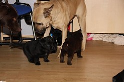 Tante und Onkel treffen