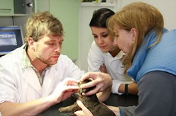 Tierklinik Wallner 