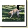 IMG_7213