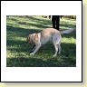 IMG_7214