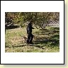 IMG_7228