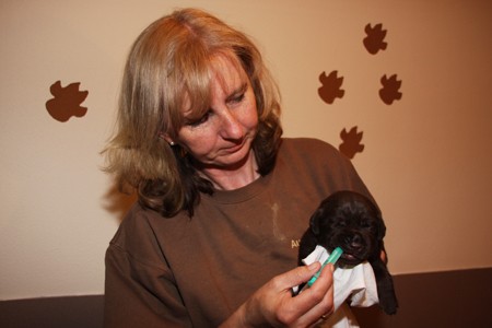 Mrs Choco IMG_9923