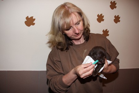 Mrs Choco IMG_9925