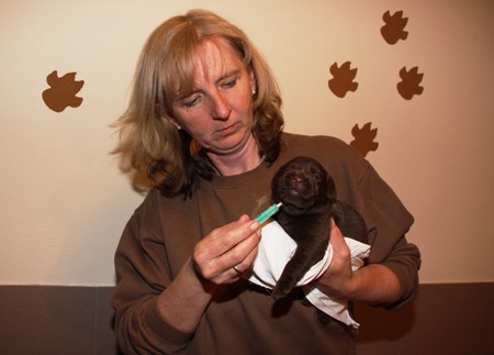 Mrs Choco IMG_9926
