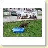 Akria beim Wasserbecken IMG_6217