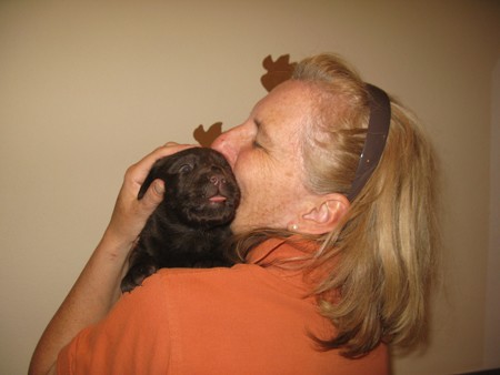 Mr Choco IMG_6326