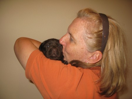 Mr Choco IMG_6328