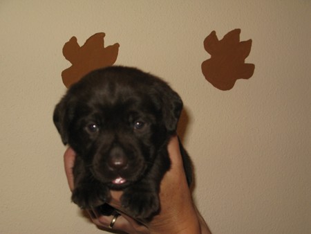 MR. Choco IMG_6349