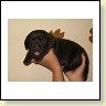 MR. Choco IMG_6350