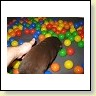 Mrs. Choco IMG_6685