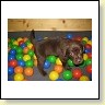 Mrs. Choco IMG_6686