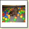 Mrs. Choco IMG_6689
