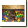 IMrs. Choco MG_6690