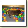 Mrs. Choco IMG_6691