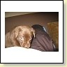 Mrs. Choco IMG_6692