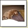 Mrs. Choco IMG_6693