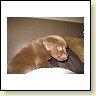 Mrs. Choco IMG_6694
