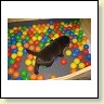 Mr. Choco  IMG_6706